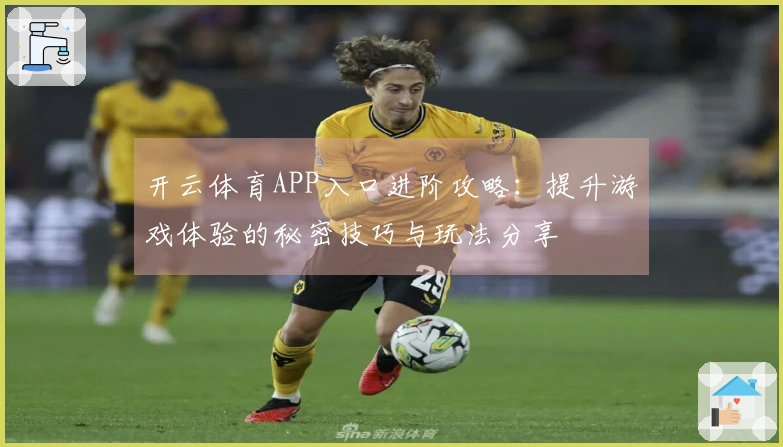 开云体育APP入口进阶攻略：提升游戏体验的秘密技巧与玩法分享