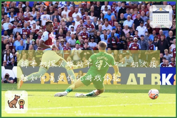 新手初探买球站平台入口：初次接触如何高效优化游戏体验