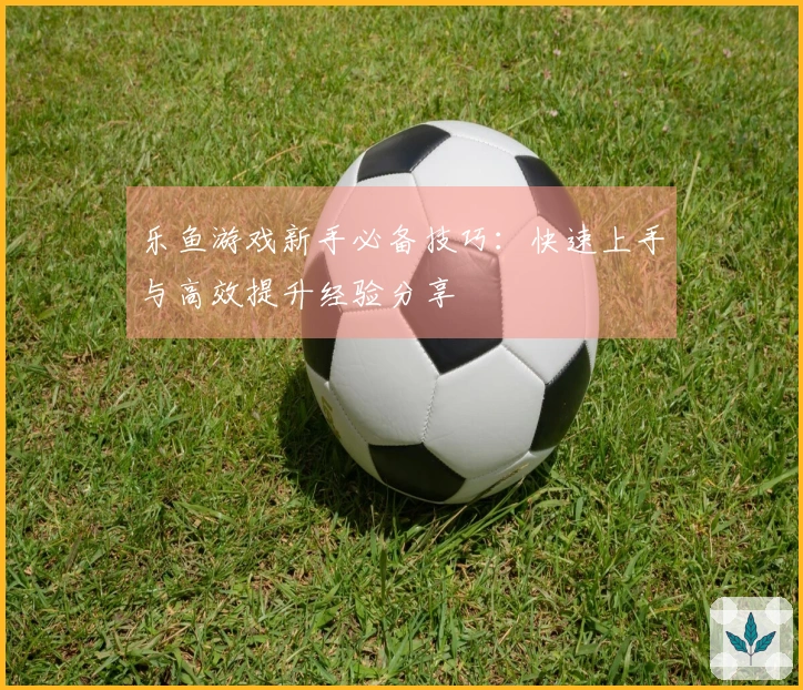 乐鱼游戏新手必备技巧：快速上手与高效提升经验分享